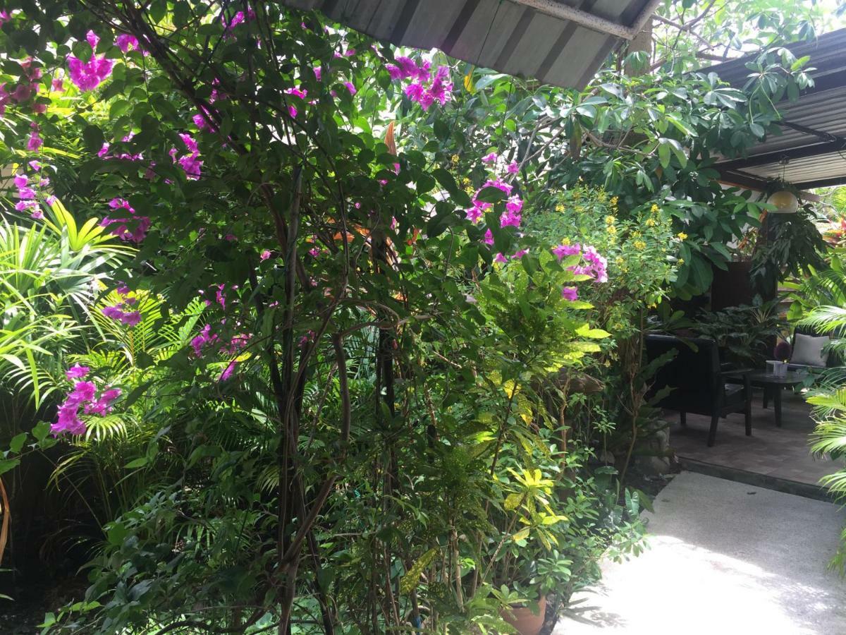 Lemon House Samui Hotel Mae Nam Beach Eksteriør billede